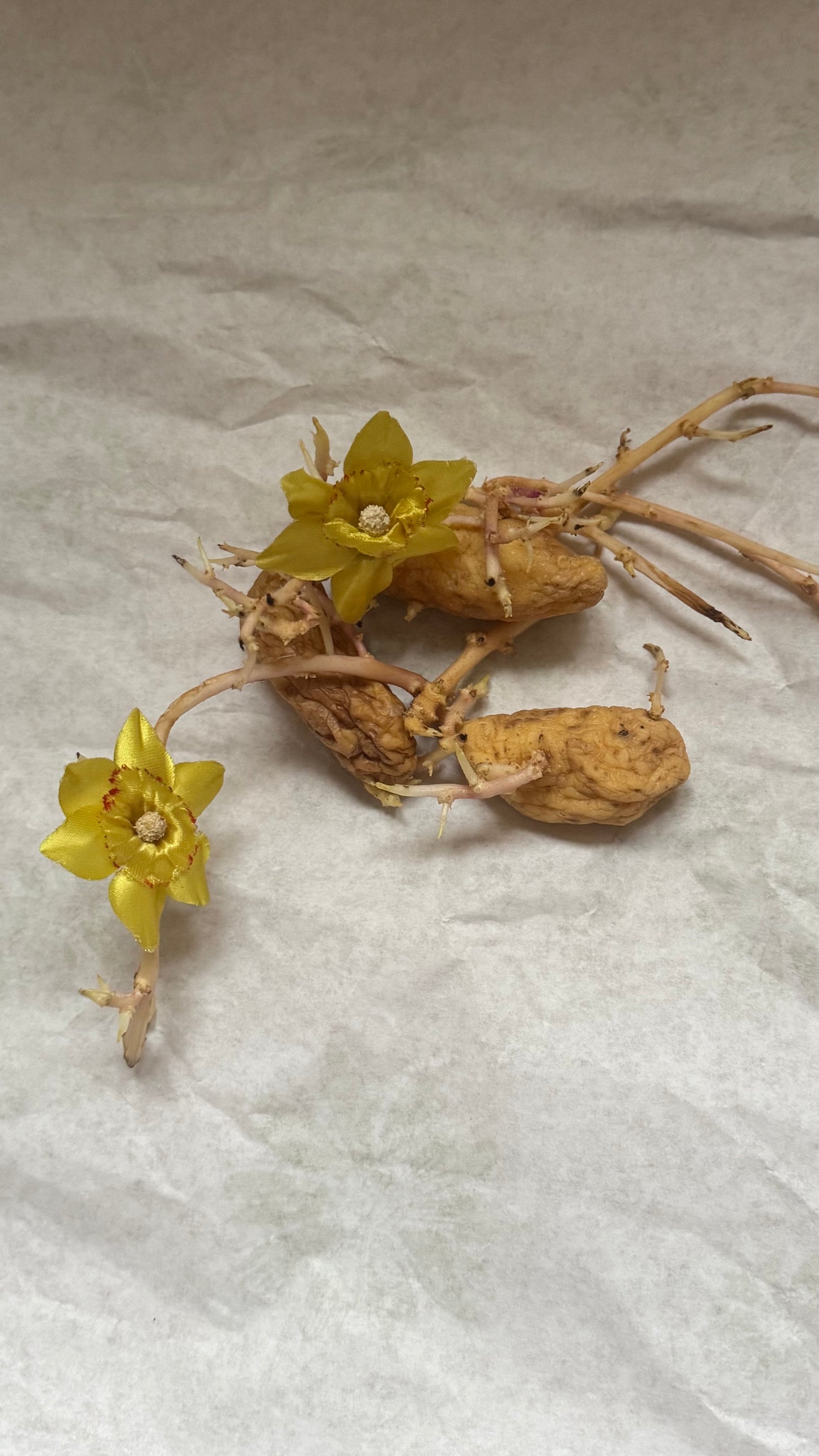 Vintage Wintersweet Clip Earrings