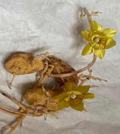 Vintage Wintersweet Clip Earrings