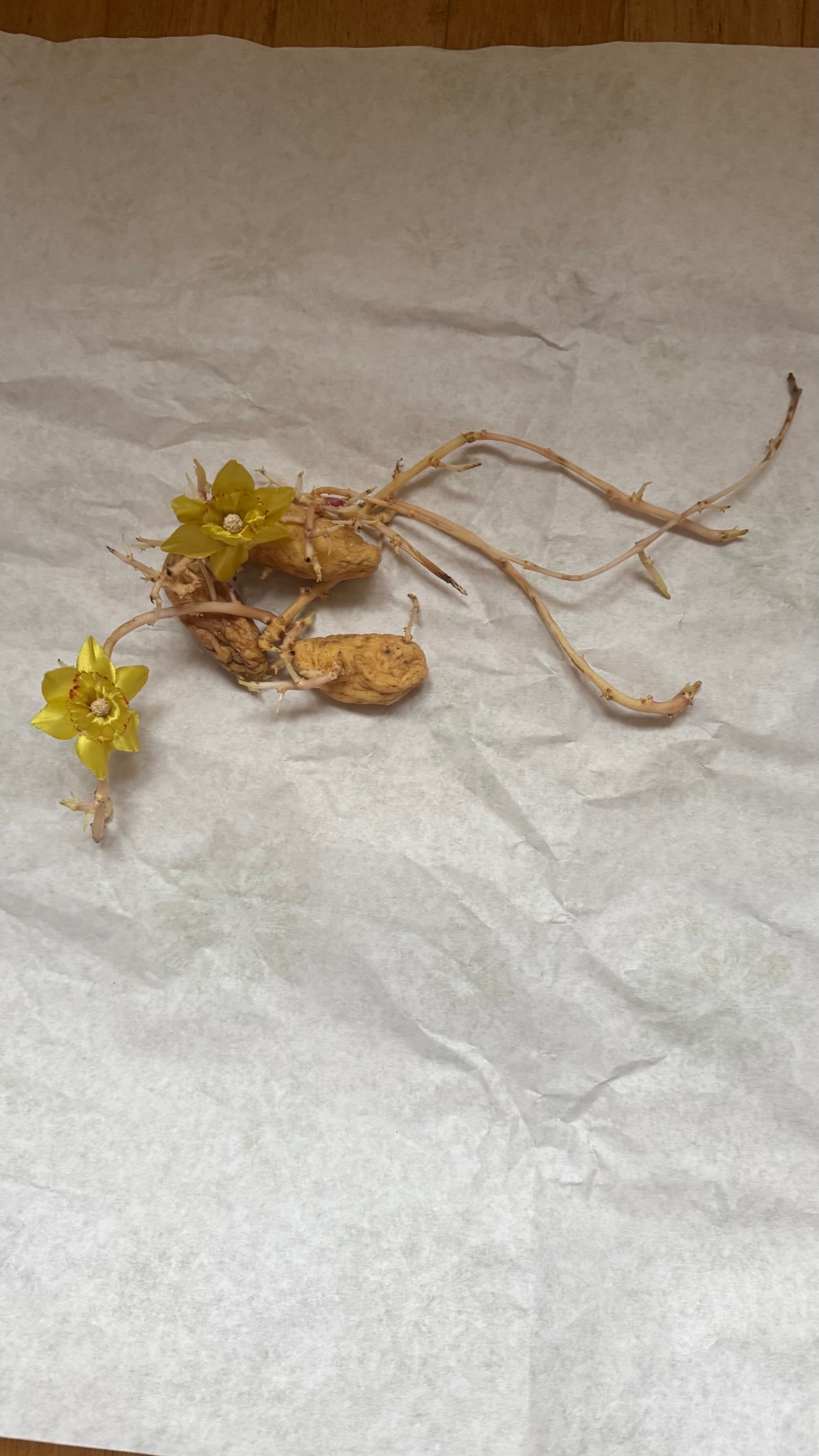Vintage Wintersweet Clip Earrings